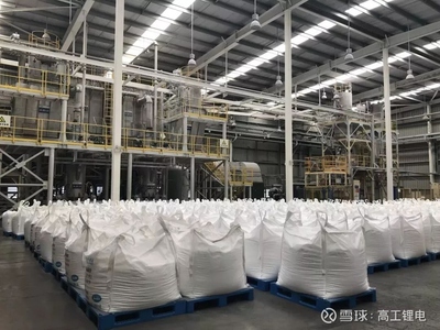 走進(jìn)天齊張家港生產(chǎn)基地 波創(chuàng)電氣實(shí)地評(píng)估智能制造新風(fēng)貌